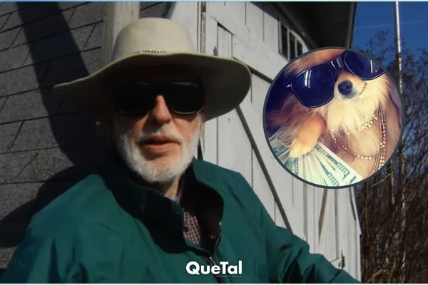 Perrita hereda 5 millones de dólares tras la muerte de su amo y desata la envidia de muchos